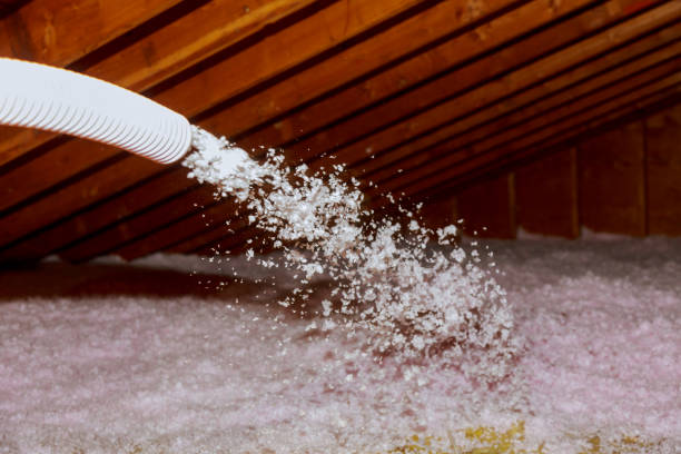 Professional Insulation Contractor in Calabasas, CA